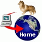 Logo-lostmypet-com.gif