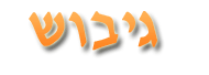 Logo-gibush-co-il.gif