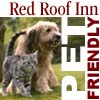 Logo-redroof-albany-com.jpg