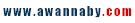 Logo-cles-usb-personnalisees-net.gif