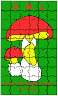 Logo-gruppomicologicolaziale-com.gif