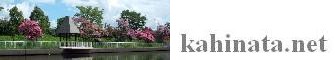 Logo-kahinata-net.jpg