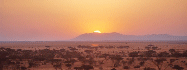 Logo-africanimagelibrary-com.gif