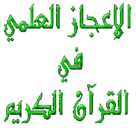 Logo-islampedia-com.gif