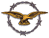 Logo-rafinfo-org-uk.gif