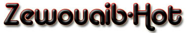 Logo-zewouaib-com.jpg