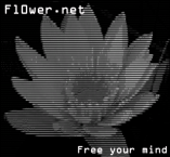 Logo-fl0wer-net.png