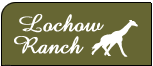 Logo-lochowranch-com.gif
