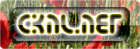 cknl net.jpg