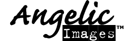 Logo-angelicimages-com.gif