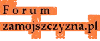 Logo-zamojszczyzna-pl.gif