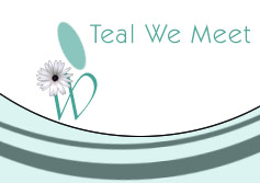 Logo-tealwemeetagain-com.jpg