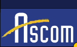 Logo-ascombelluno-it.gif