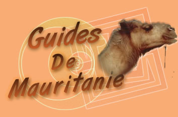 Logo-guidesmauritanie-com.jpg