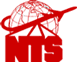 Logo-noseworthytravel-com.gif