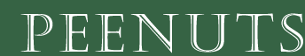 Logo-peenuts-com.gif