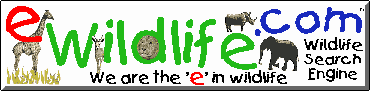 Logo-ewildlife-com.gif