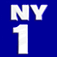 Logo-nydevolunteer-org.gif