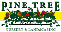 Logo-pinetreenursery-com.gif