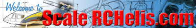 Logo-scalerchelis-com.jpg