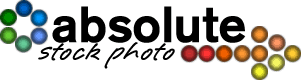 Logo-absolutesnap-com.gif
