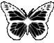 Logo-koreanboxes-com.gif