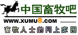 Logo-xumu8-com.gif