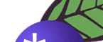 Logo-blueberrypress-com.gif