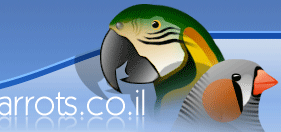 Logo-parrots-co-il.gif