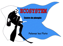 Logo-ecosystem-palavas-com.gif