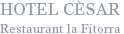 Logo-hotelcesar-net.gif