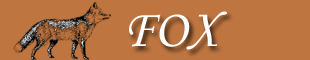 Logo-foxlearningzone-com.gif