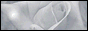 Logo-rocsky-net.gif