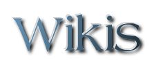 Logo-wikini-org.jpg
