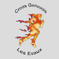 Logo-avgeneve-com.jpg