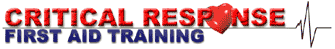 Logo-criticalresponse-ca.gif