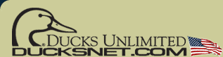 Logo-ducksnet-com.gif