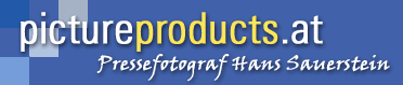 Logo-pictureproduction-com.gif