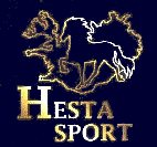 Logo-riding-is.jpg