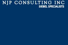 Logo-njpconsulting-com.gif