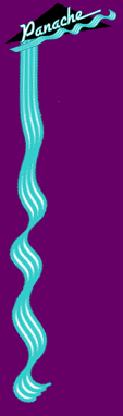 Logo-panachehairdesign-com.gif