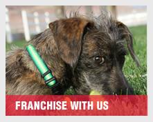 franchisewithus.jpg