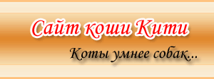 Logo-kiti-com-ua.gif