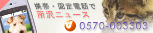 Logo-tokosky-com.gif