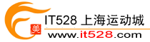 Logo-it528-com.gif