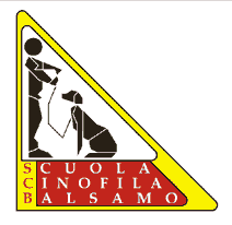 Logo-scuolacinofilabalsamo-com.gif