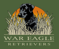 Logo-wareagleretrievers-com.jpg