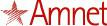 Logo-amnet-systems-com.jpg