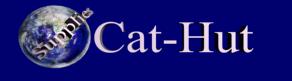 Logo-cat-hut-com.jpg