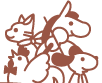 Logo-org-cotton-com.gif